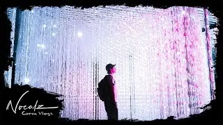 Teamlab World 팀랩월드 [Noe's Korea Unedited]