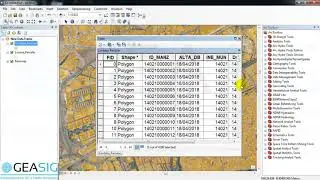 5 Trucos de ArcGIS para trabajar con Tabla de Atributos