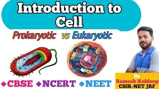 Prokaryotic cell vs Eukaryotic Cell | Difference between Eukaryotic & prokaryotic | NEET Biology
