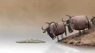 Никогда и ни кому, ни чего не доказывайте !!!