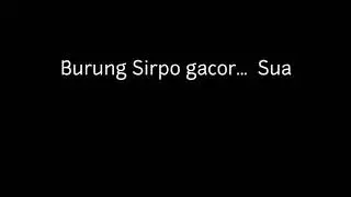 Crazy Bird (Sirpo Gacor)