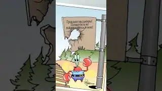 Про краба 🦀