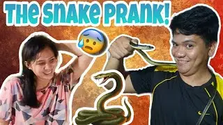 THE SNAKE PRANK | REVENGE PRANK