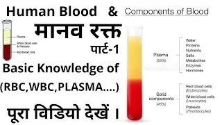 blood | Human blood | Blood and  types of blood