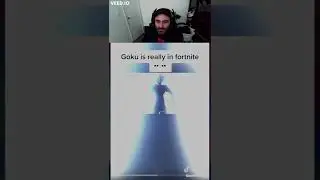 lol DBZ Fortnite??? Reaction video