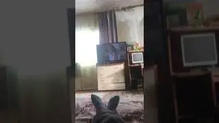 Я смотрю кино 🤩