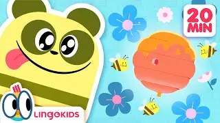 Let's Go Back to School 📚🎒 Educational Cartoons for Kids | Lingokids