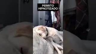 Hipnosis