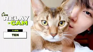 ⏱TEN : 2-4PM｜NCT 24hr RELAY CAM