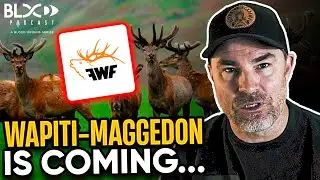 Wapiti-Maggedon is Coming ...
