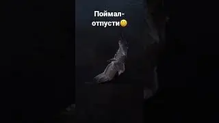 Поймал - отпусти😆 #рыбалка #fishing #shorts