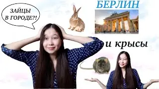 Какого жить в БЕРЛИНЕ? || ПЛЮСЫ и МИНУСЫ