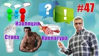 Частая крепатура. Изолирующие упражнения и Алексей Шредер. Стопа и сила. Восстановление. Ответы 47