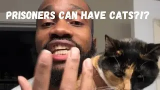 Prisoners Can Have Cats?!?!