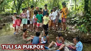 TULI sa pukpok | summer panahon ng tulian dito sa probinsya  