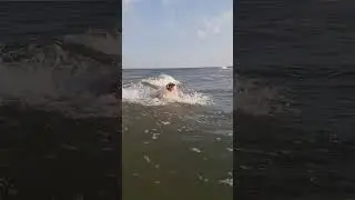 Бердянськ #україна #дім #2023 #весна #море