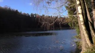 Окресности и водоёмы  г  Людиново 2015 г (8 часть)