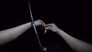 Rockfish, Рыбалка в Адлере, Ставриды