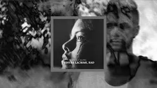CHRISS & MAYRA - Printre lacrimi, rad (Visualizer)