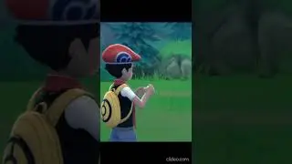 This is why you choose Chimchar!!
