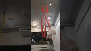 Aerial hammock on 30 Aug 2024  part 3