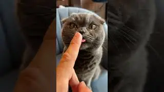 Ксюша обожает творожок по утрам🤤😊
