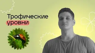 Трофические уровни. Пищевые цепочки. ЕГЭ БИОЛОГИЯ