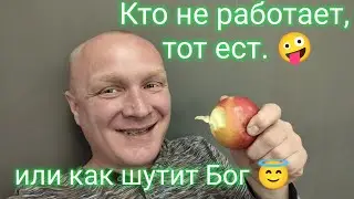 Кто не работает, тот ест 🤪