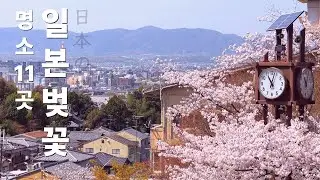 일본 벚꽃 명소 11곳 🌸 일본여행 교토 오사카 나라 벚꽃 예쁜곳 모음집