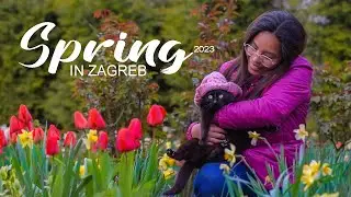 Landlady's Garden in Zagreb| A day in my life in Zagreb | Spring