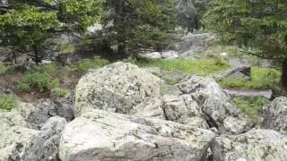 DSC 0197