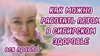МОЁ ЛЕТО И РАБОТА В КОМПАНИИ СИБИРСКОЕ ЗДОРОВЬЕ.