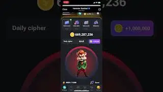 Hamster Kombat daily cipher 28 aug