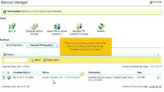 How to use the Backup Manager in Plesk
