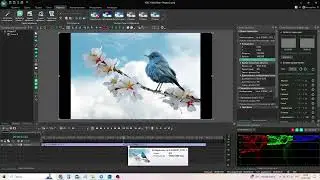 VSDC. Урок 6. Как корректно добавить на таймлайн 2 и более объектов? 