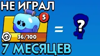 ЧТО, ЕСЛИ НЕ ИГРАТЬ 7 МЕСЯЦЕВ в BRAWL STARS?