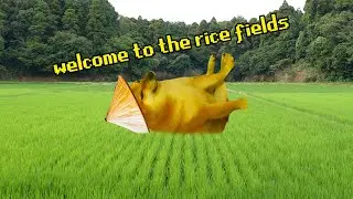 I Found a Cool Place in Japan