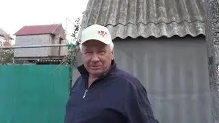 Николаевские голуби, Будни голубеводов.