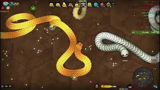 Little Big Snake   chips snake