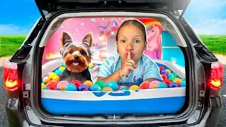 FIZ UM QUARTO SECRETO NO CARRO DO PAPAI | GATINHA DAS ARTES
