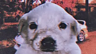 Wenomechainsama, but it's a house phonk