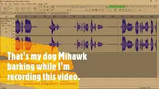 How to remove background noise from your videos