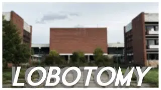 Tarkov Lobotomy