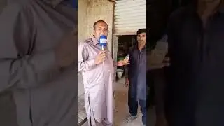 Dumb Dumber And Damdest