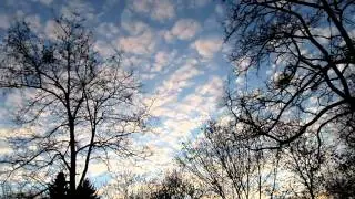 Cirrocumulus Clouds or  Altocumulus Clouds ?