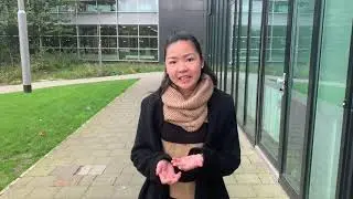 MBA Internship: To Do or Not to Do