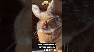 Nintendo Fans in 2023! Hilarious 🤣