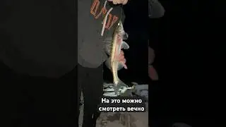 2 ноября 2024 г.