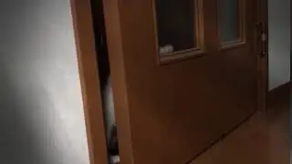 meomeocl 119 clip13