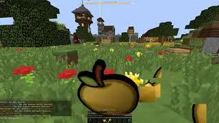 Читер